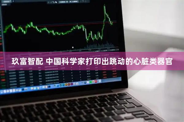 玖富智配 中国科学家打印出跳动的心脏类器官