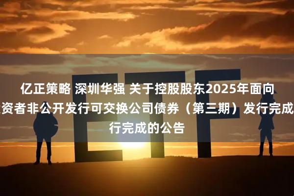 亿正策略 深圳华强 关于控股股东2025年面向专业投资者非公开发行可交换公司债券（第三期）发行完成的公告