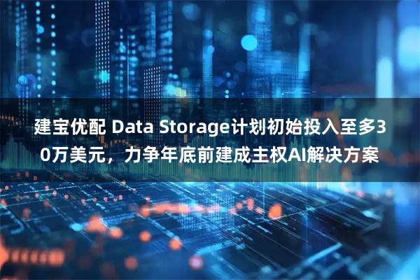 建宝优配 Data Storage计划初始投入至多30万美元，力争年底前建成主权AI解决方案
